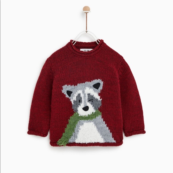 Zara Other - Zara raccoon sweater